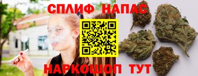 крисы Вязники