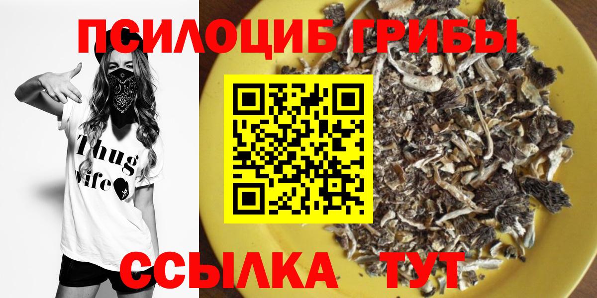 Галлюциногенные грибы GOLDEN TEACHER Братск