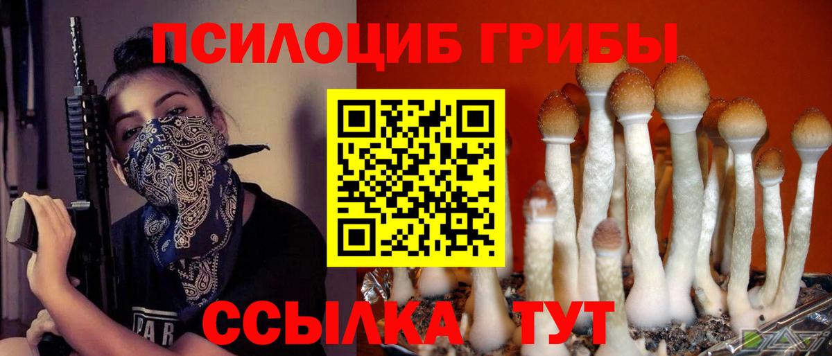 Псилоцибиновые грибы мухоморы  Вход с VPN  Братск  Псилоцибиновые грибы ЛСД 